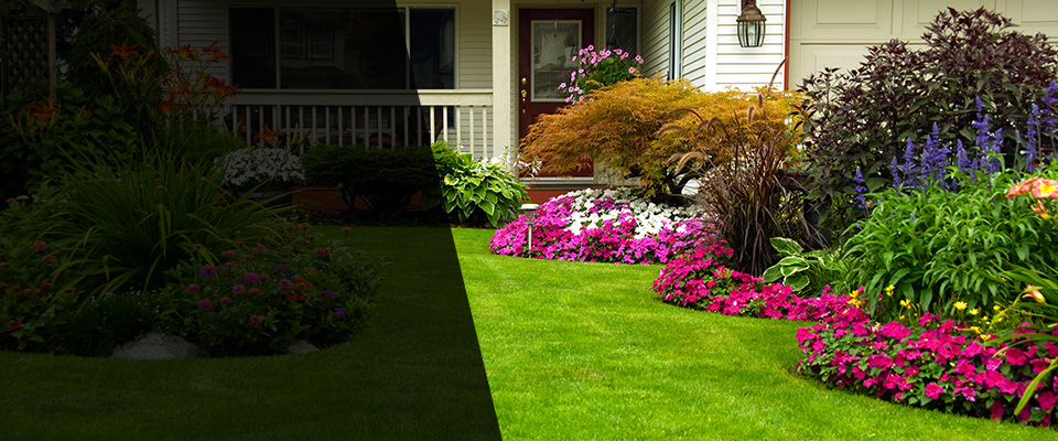Rocky Mount Landscapers